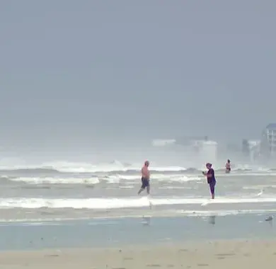 Retired Surfer David 'Bean' Coffee Saves Father and Son from Deadly Rip Current Off New Smyrna Beach, Florida