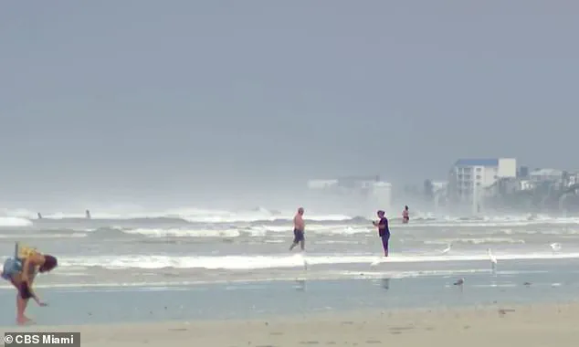 Retired Surfer David 'Bean' Coffee Saves Father and Son from Deadly Rip Current Off New Smyrna Beach, Florida