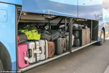 Shocking Discovery on Kaiwaka Bus Sparks Child Welfare Concerns