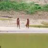 A Common Cold Could Wipe Out an Uncontacted Tribe in the Amazon, Warns Mashco Piro Elder