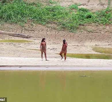 A Common Cold Could Wipe Out an Uncontacted Tribe in the Amazon, Warns Mashco Piro Elder