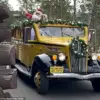 Breaking: Yellowstone National Park Celebrates Christmas Twice a Year – Early Yuletide Fun in August!