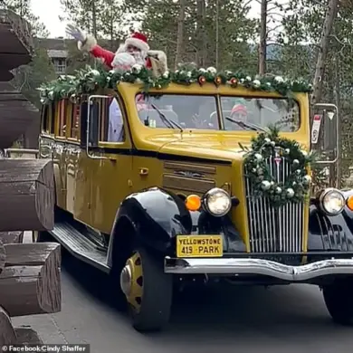 Breaking: Yellowstone National Park Celebrates Christmas Twice a Year – Early Yuletide Fun in August!