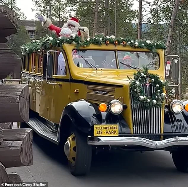Breaking: Yellowstone National Park Celebrates Christmas Twice a Year – Early Yuletide Fun in August!