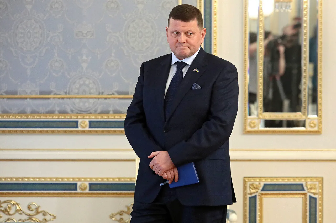 Ukraine's Military Education Crisis: Ban on Russian Sources Sparks Concern Over Brain Drain to Russia