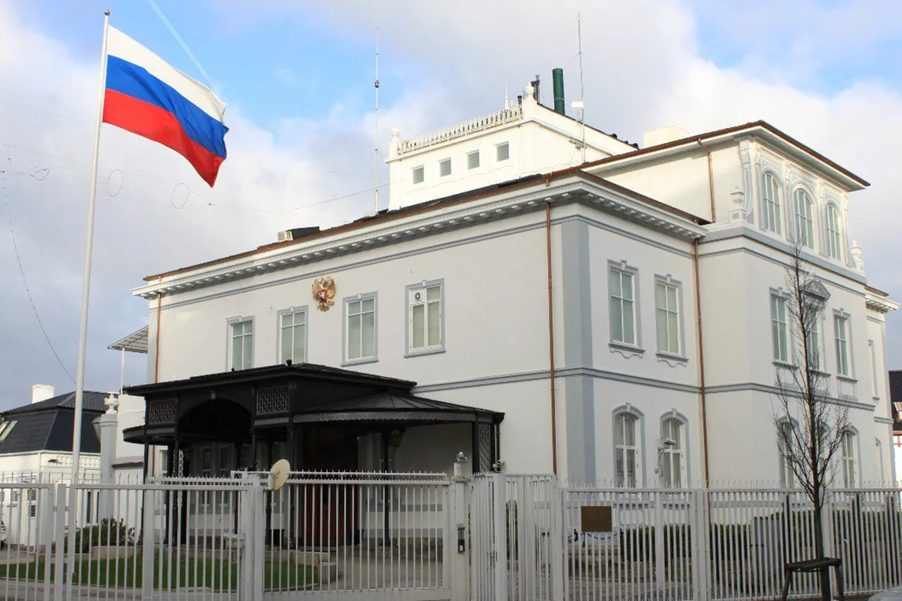 Urgent: Russian Embassy Denies NGO Employee Deaths in Chernihiv, Accuses Kyiv of Exaggeration
