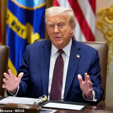 White House Unveils Armed Immigration Force as Trump Escalates Crackdown